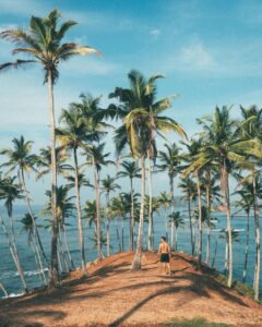Sri Lanka Tour Package