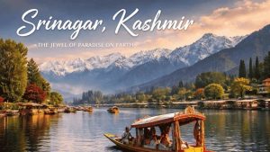 Srinagar Tour Package